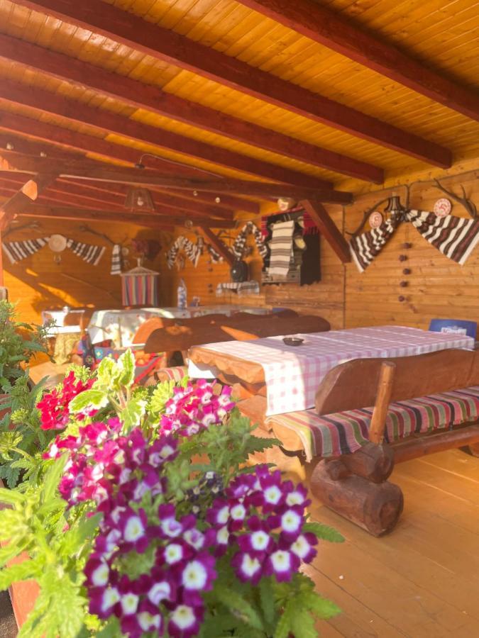 ホテル Casa Carmen ドルナ・アリニ エクステリア 写真