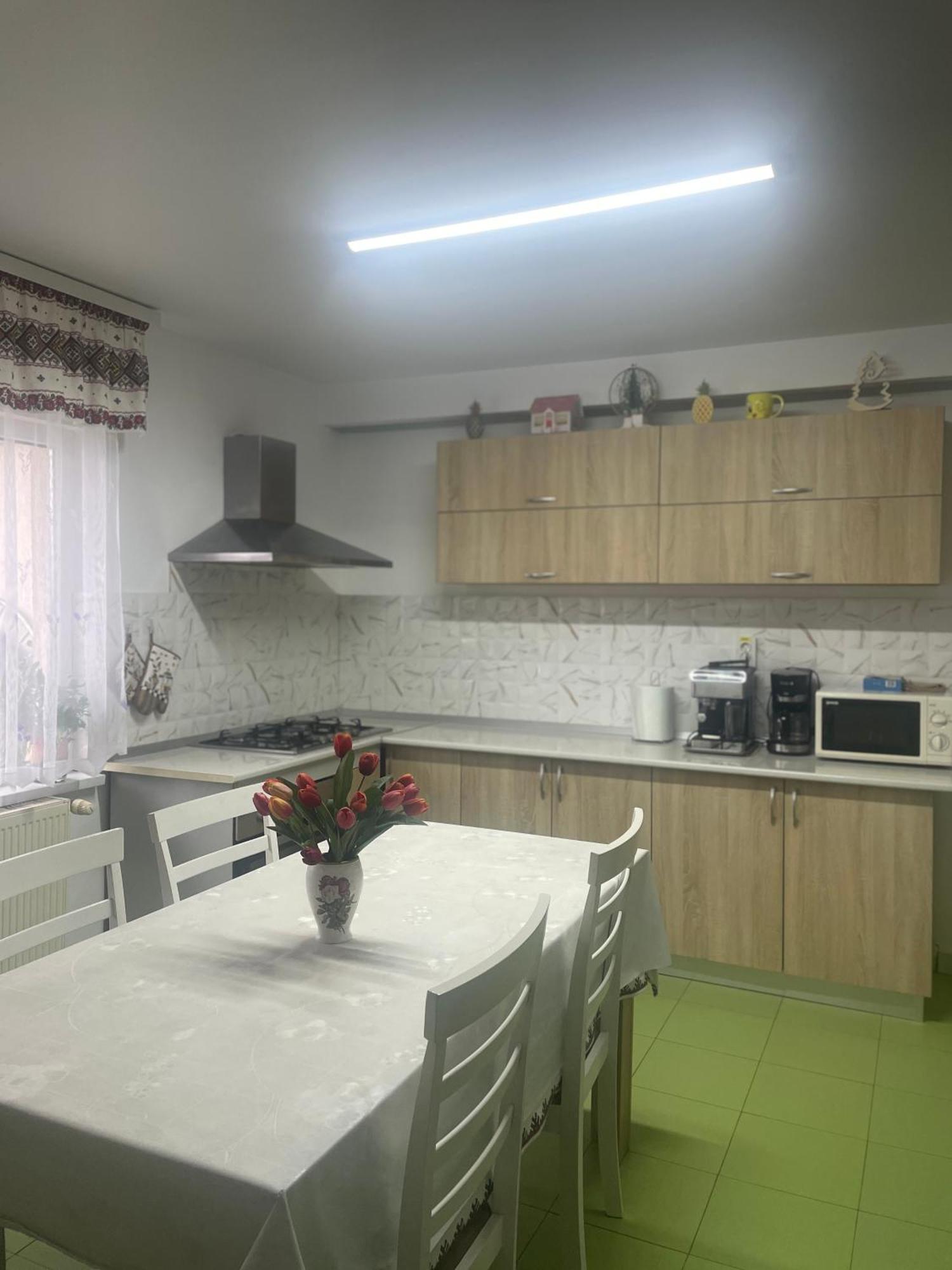 ホテル Casa Carmen ドルナ・アリニ エクステリア 写真